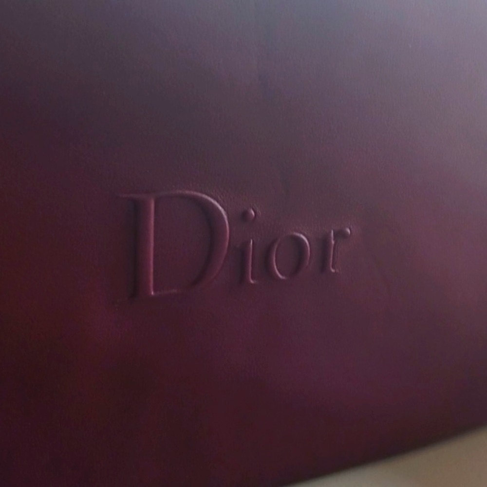 Dior Logo Red Cosmetic Bag New Never Used Star Detail